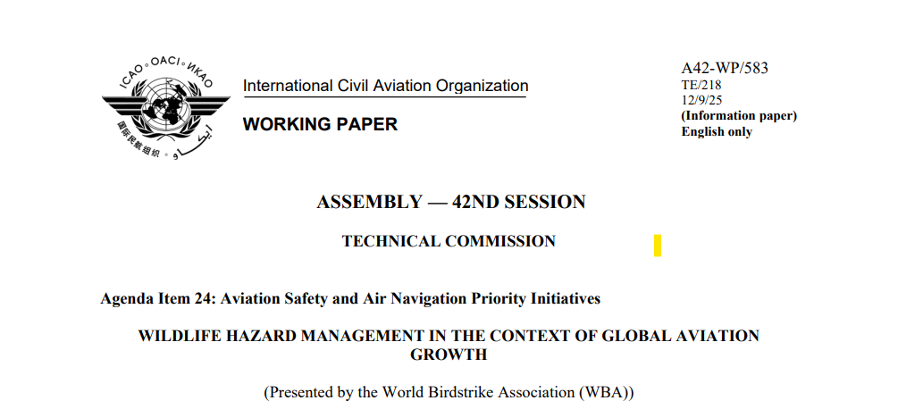 2A WBA IP